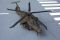 RAH-66 Comanche -3.JPG